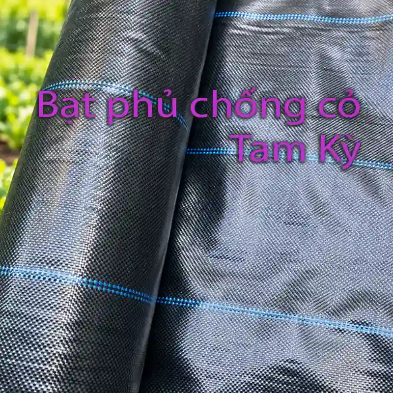 Bạt phủ chống cỏ tại Tam Kỳ màu đen sọc xanh